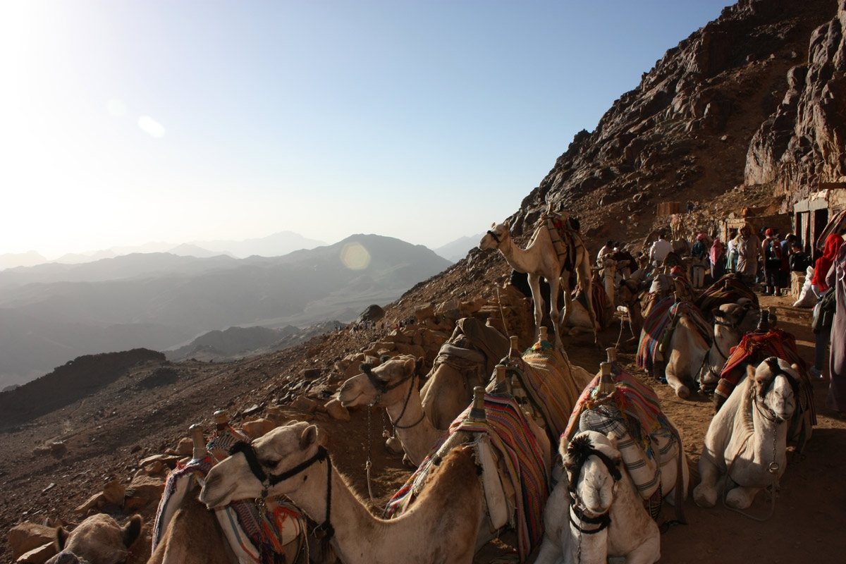 69. Egypt. Mount Sinai.